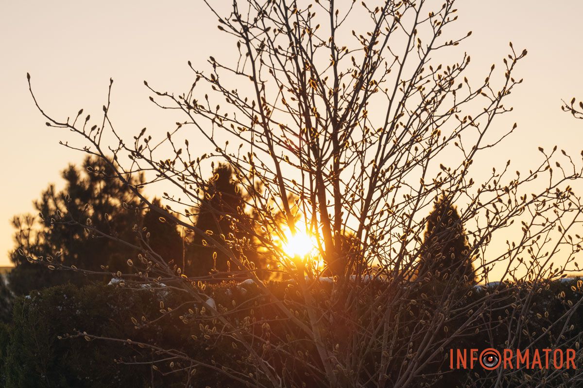 У справжній зимовий казці: як Дніпро зустрів Новий 2026 рік, фоторепортаж 84