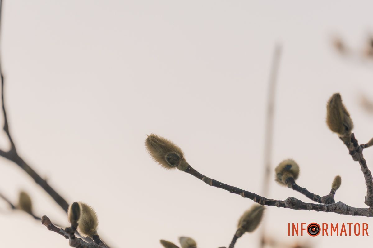 У справжній зимовий казці: як Дніпро зустрів Новий 2026 рік, фоторепортаж 79