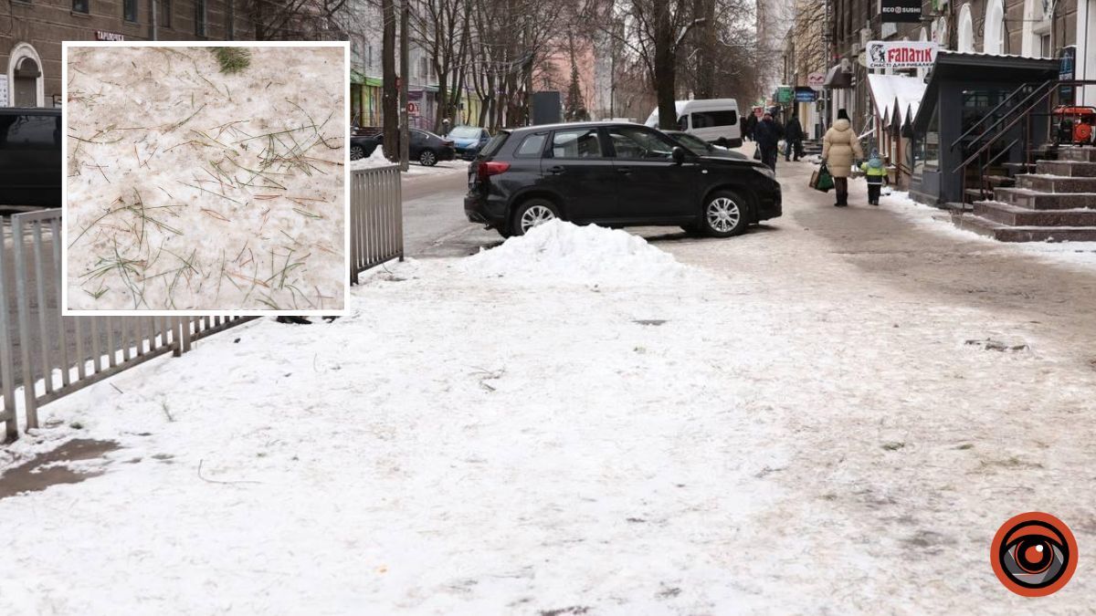 Як прибрали ялинкові ринки після свят: у Дніпрі перевірили 45 локацій на залишки від новорічних дерев і що загрожує порушникам