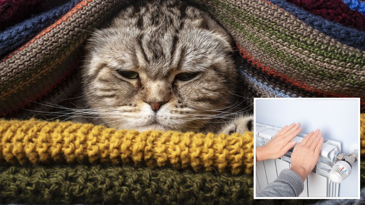 В Днепре целый жилой массив остался без тепла из-за аварии