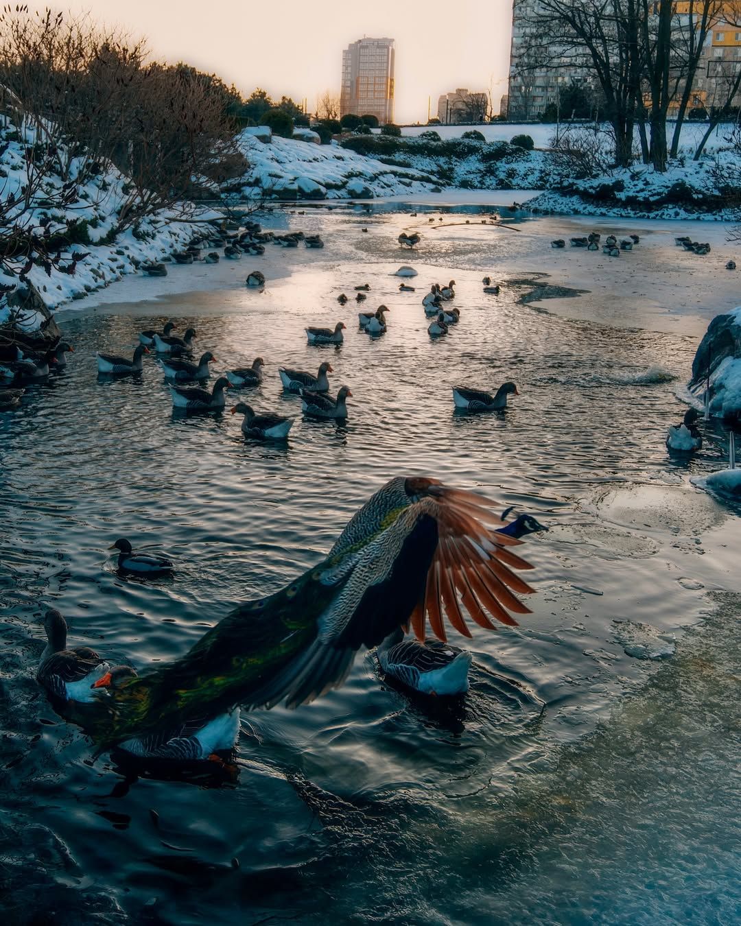 Якби у Дніпрі був Instagram: які фото створювалися в місті цього тижня 1