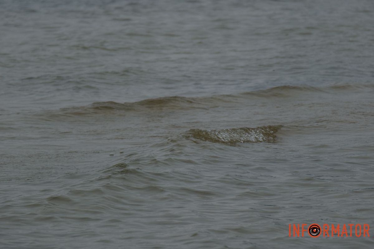 Молитвы, ныряние и освященная вода: как днепряне празднуют Крещение по новому календарю 51