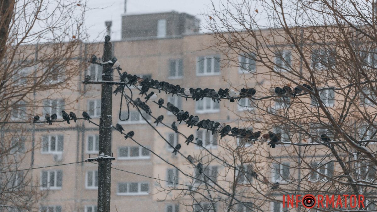 Погода на 11 января: в Днепре весь день будет снег, а вечером осадки ослабнут