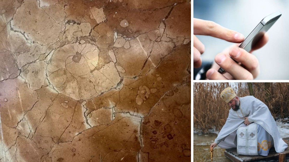 Артефакти, яким сотні мільйонів років, цифровізація міських сервісів та Водохреще: топ добрих новин тижня