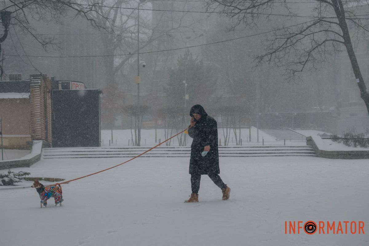 Песика ж вигуляти треба