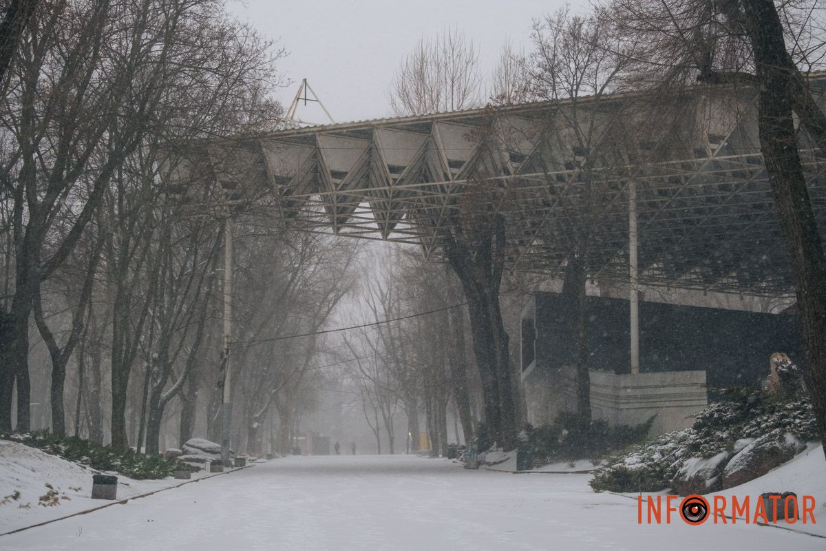 Краса неймовірна