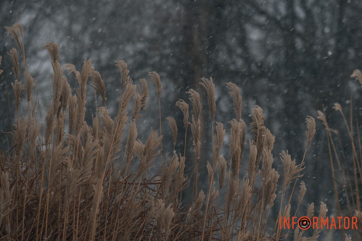 Сніжні потоки огорнули вулиці та двори Дніпра