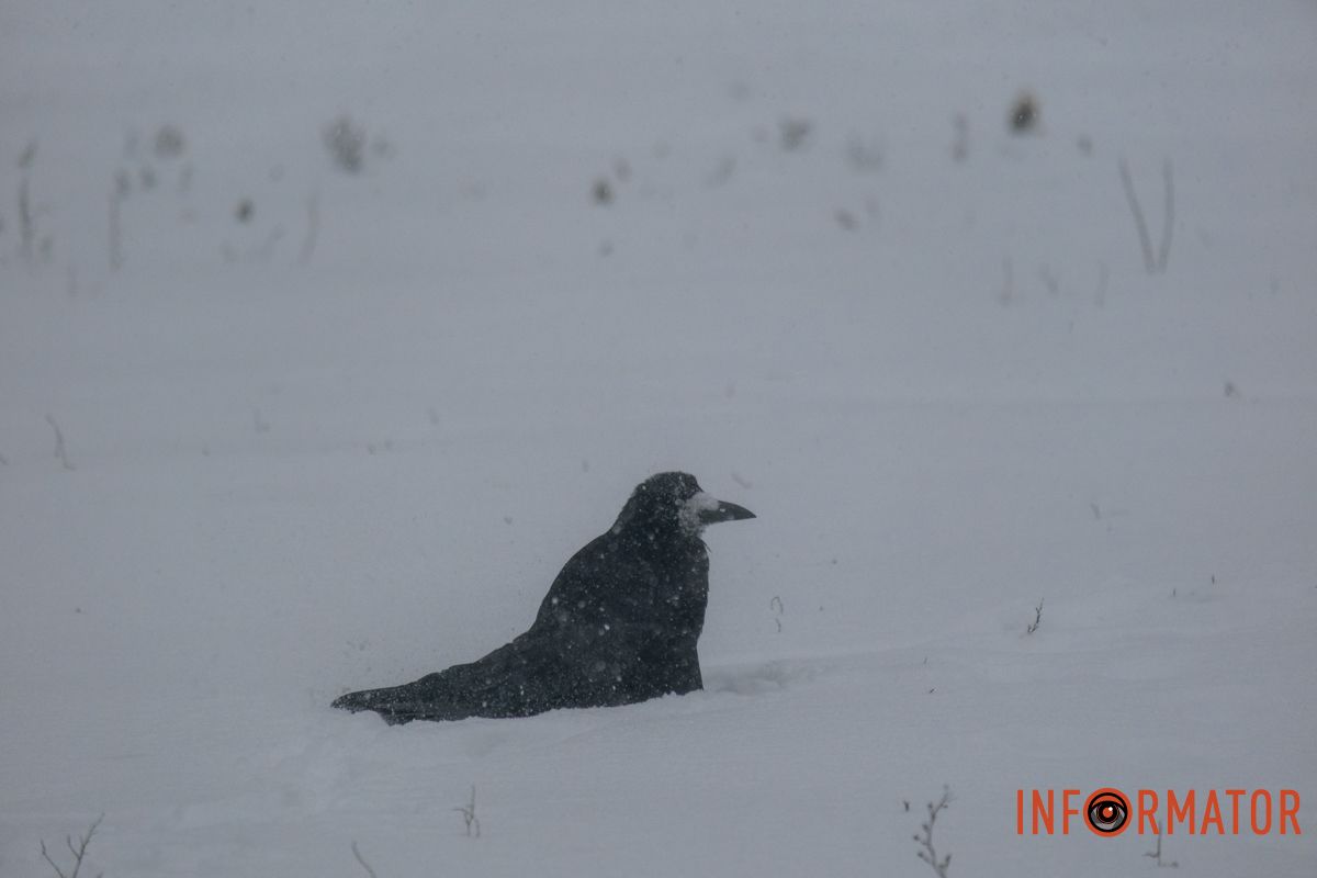 Насолоджується