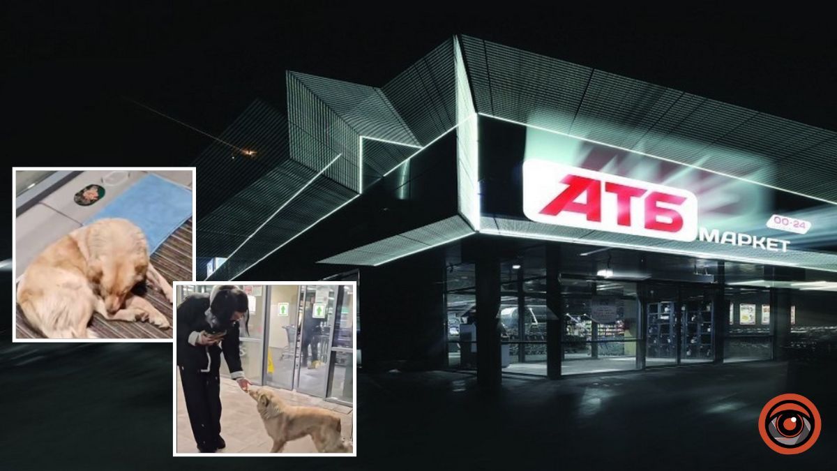 Випадок з песиком в «АТБ» у Дніпрі: у компанії прокоментували ситуацію