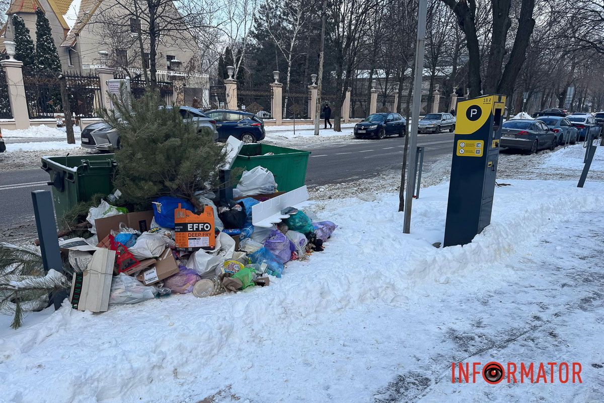 Сміття біля паркомату на Володимира Вернадського