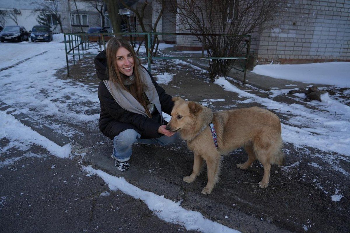 Песика з Робочої забрали на перетримку. Фото: "Суспільне Дніпро" 