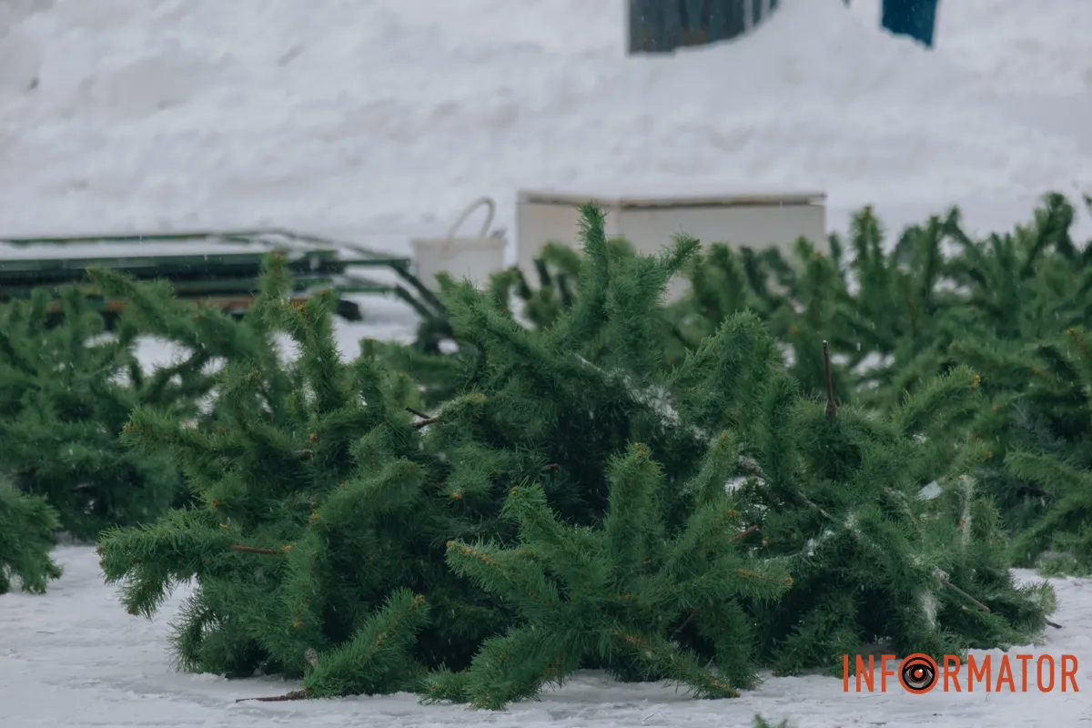 Фото: Денис Чубченко