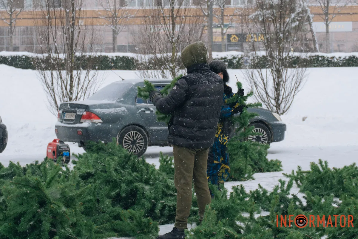 Побачимось у грудні, ялинко