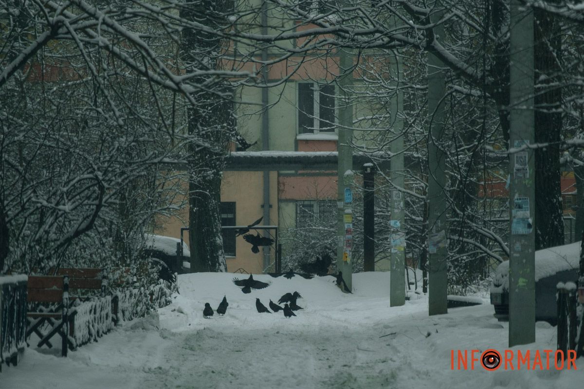 Когда привычные улицы выглядят совсем иначе