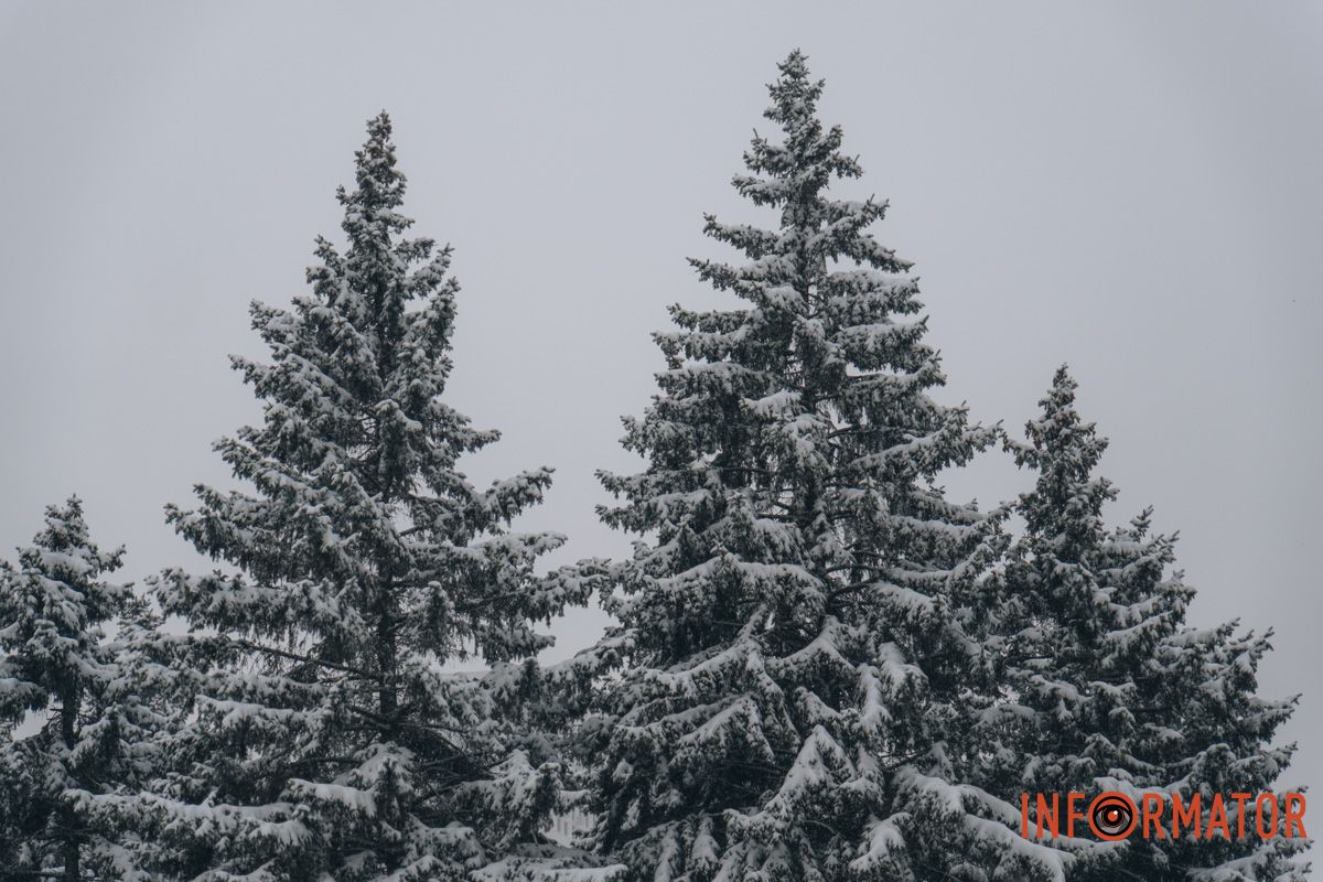 Невероятная природа