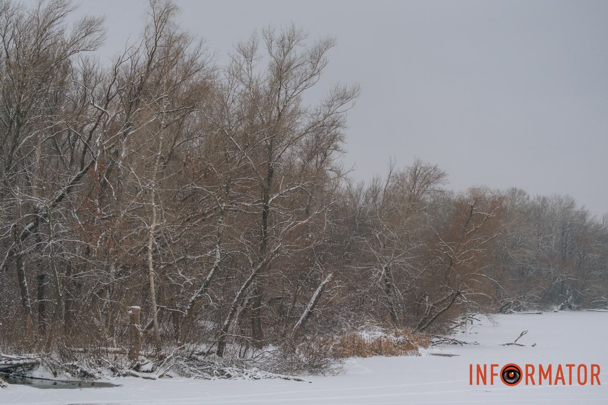 Одинокая зима