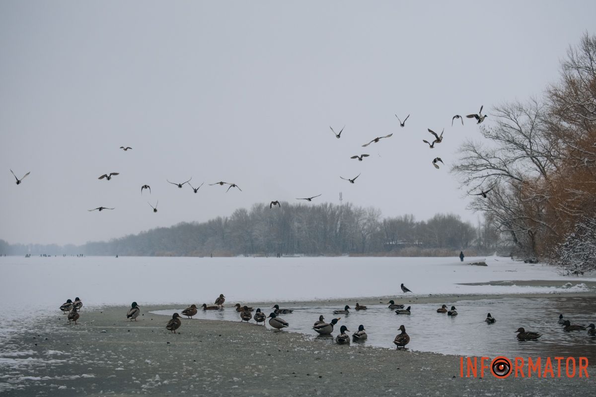 Природа оживает