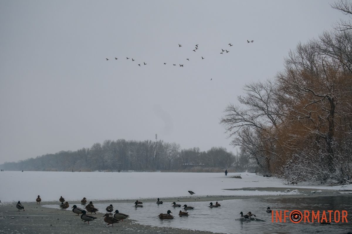 Потрясающая зима