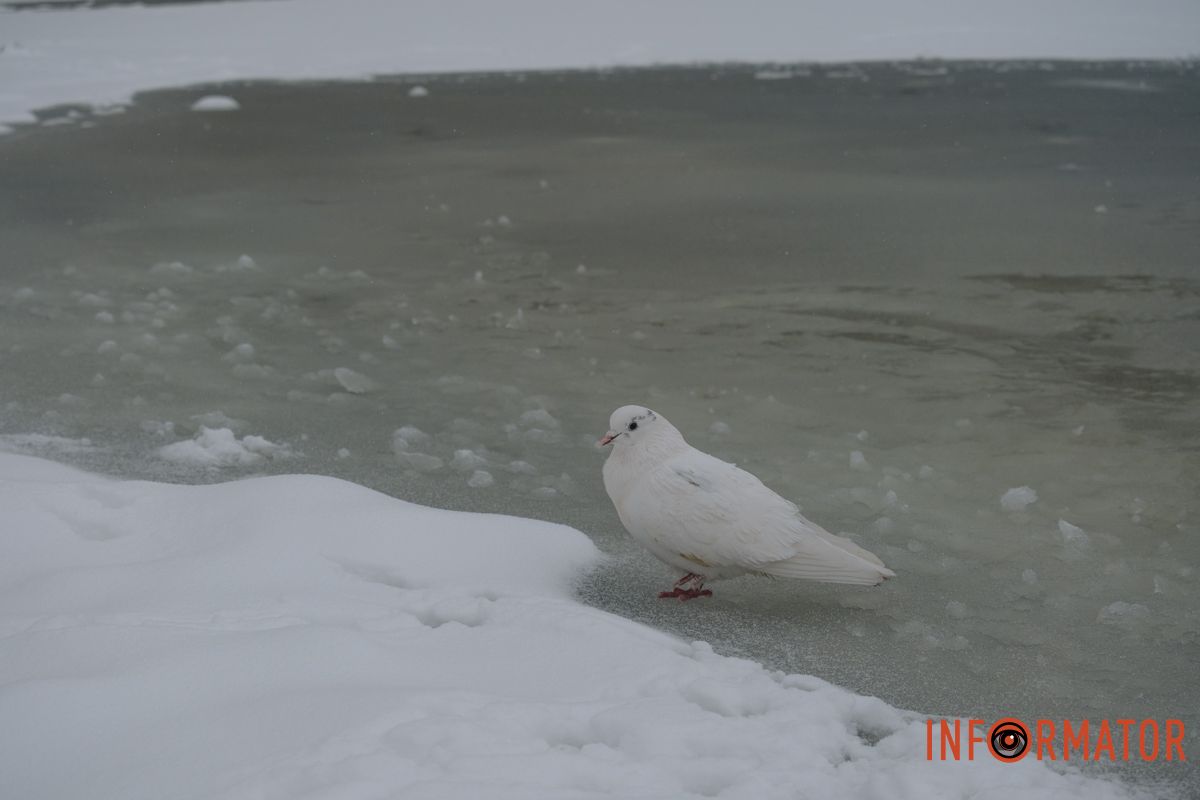 Просто отличный кадр