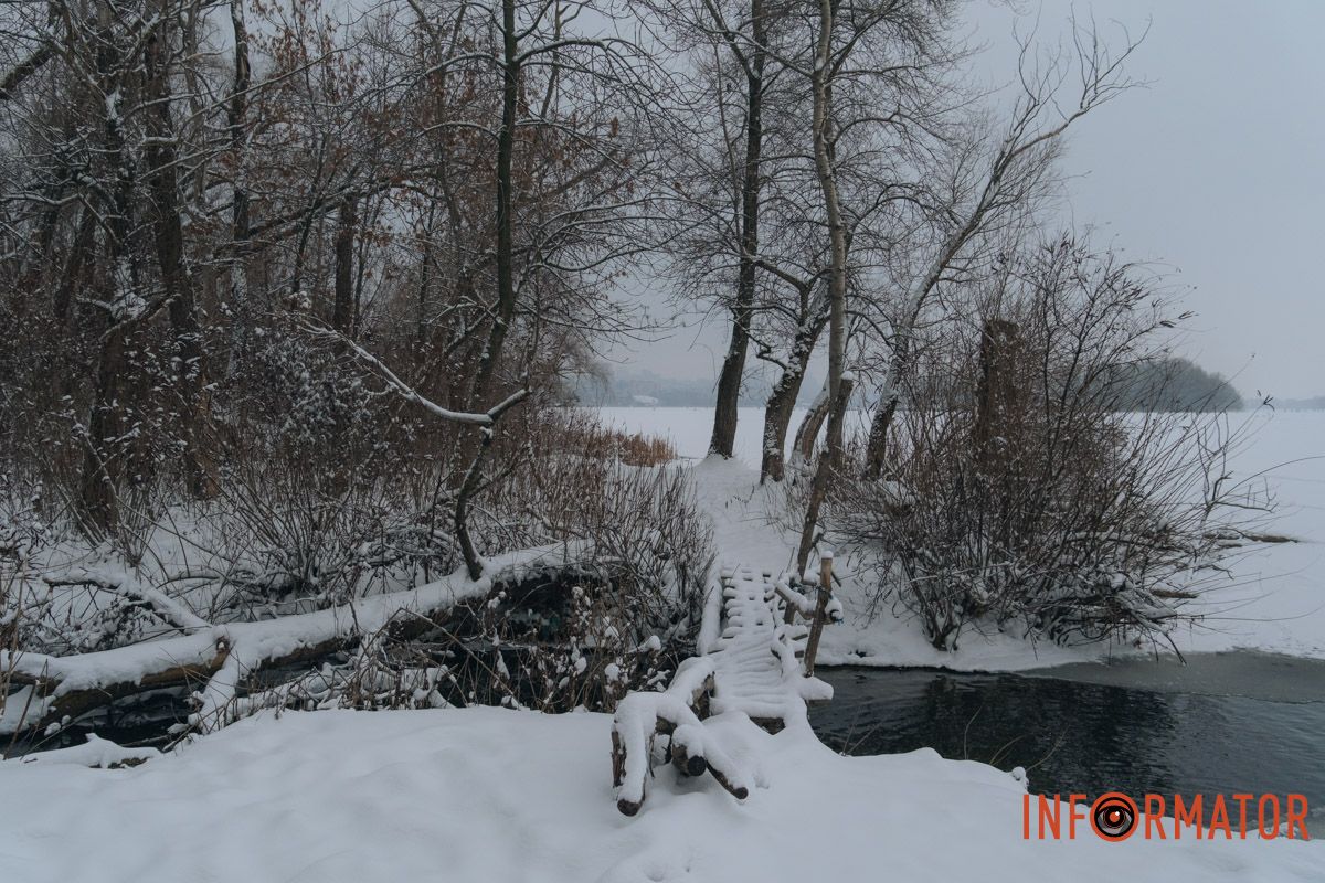 Интересно, холодно ли деревьям