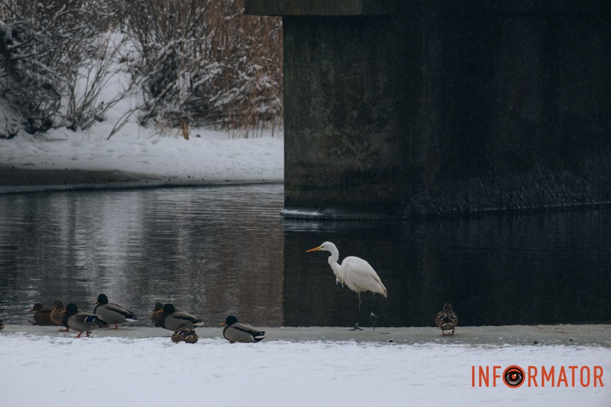В парках сейчас хорошо