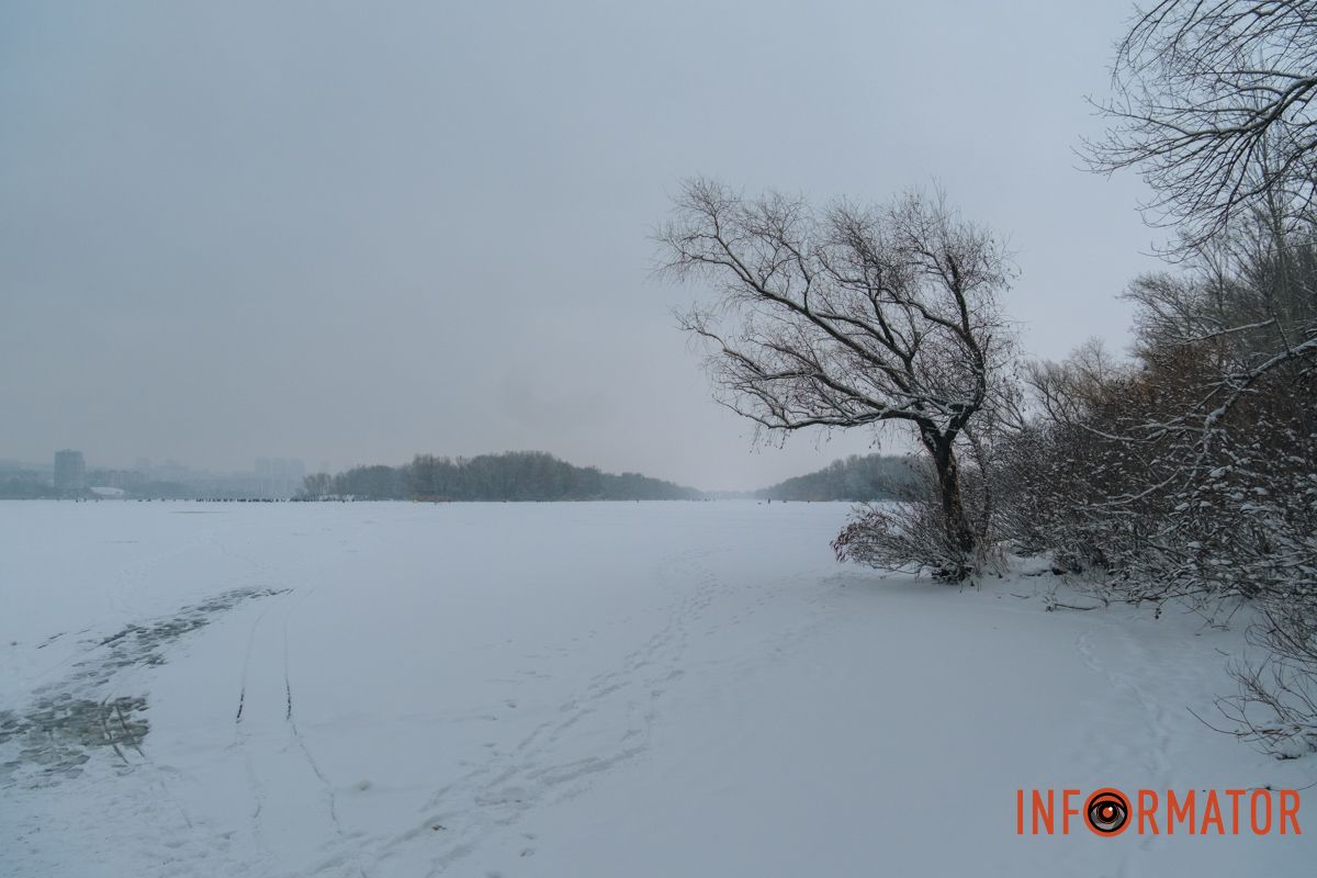 Дерево хорошо позировало