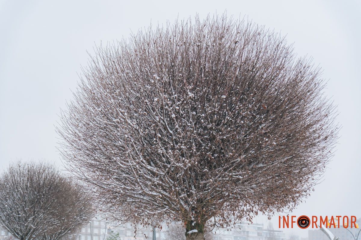 Подробности