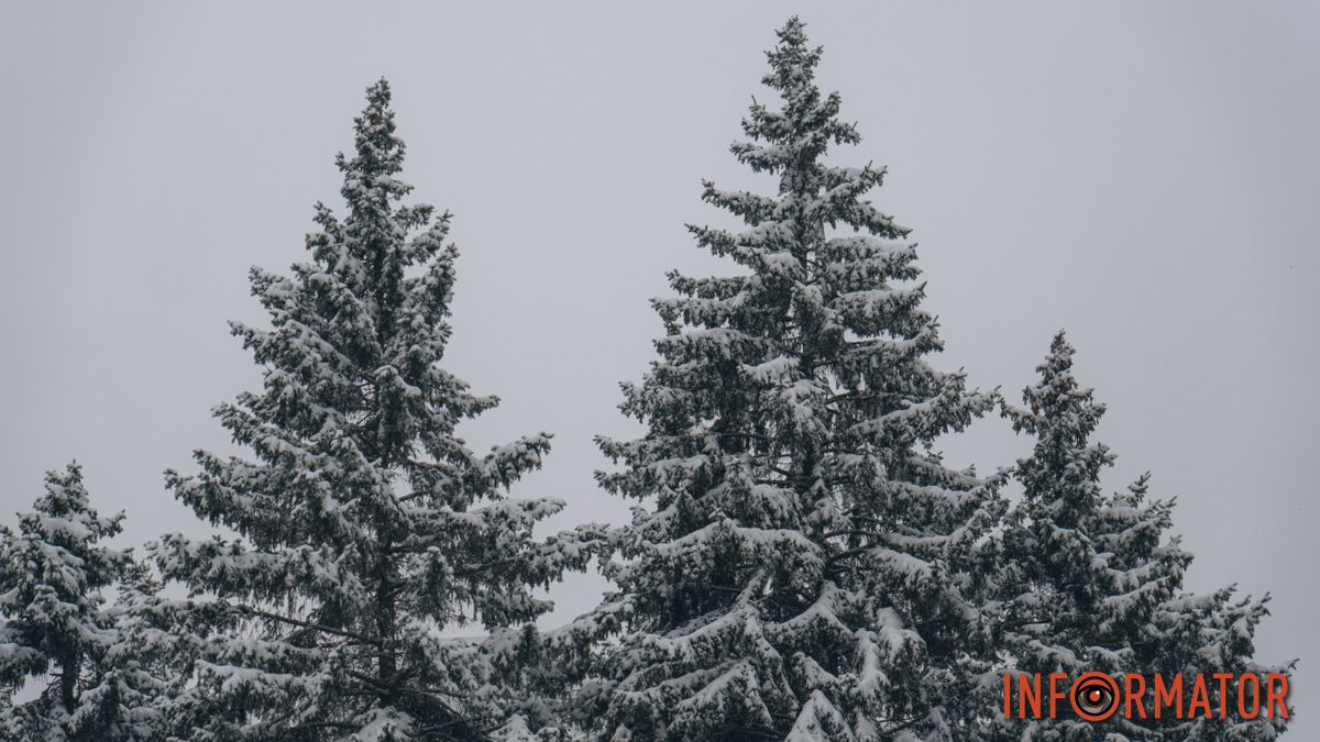 Погода на 16 січня: у Дніпрі буде хмарно, зранку сніжитиме