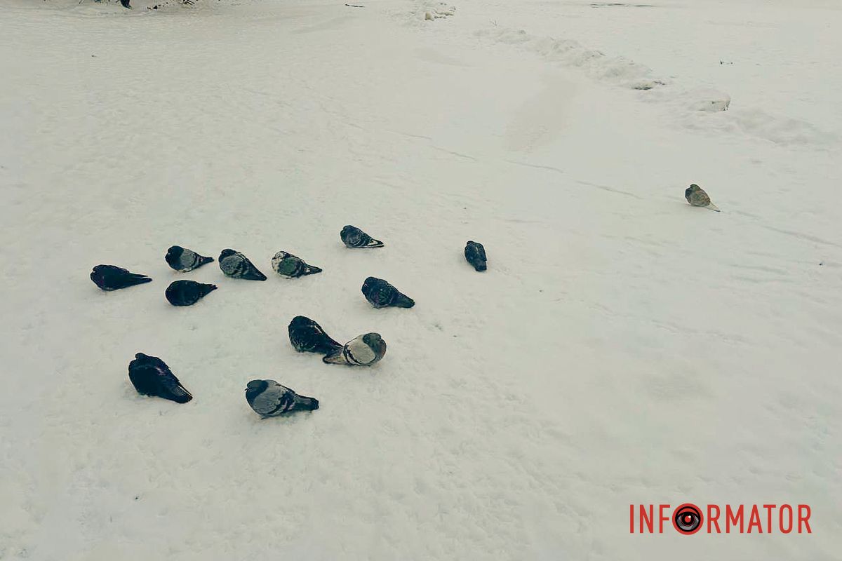 Після зауважень вони зійшли на берег