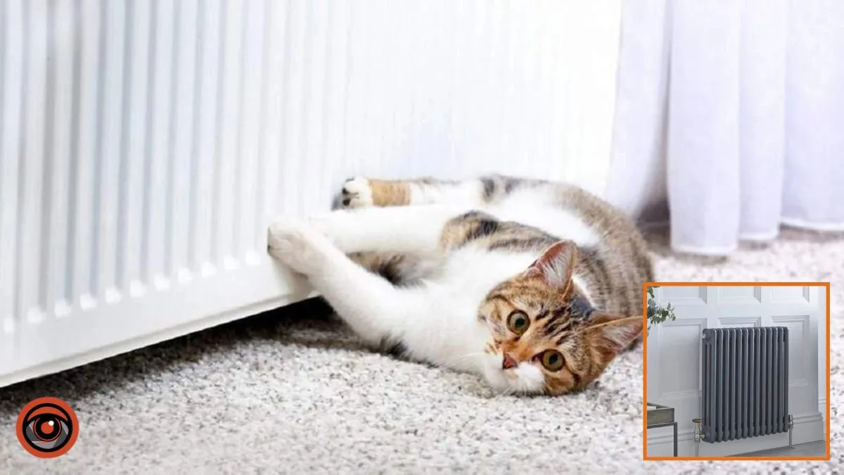 Котельня зупинилась: деякі жителі Дніпра в мороз залишились без тепла 16 січня