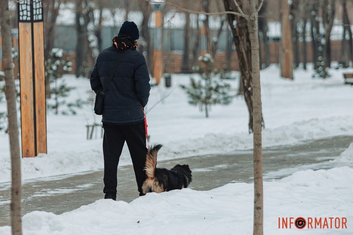 Власникам тваринок тут буде чудово