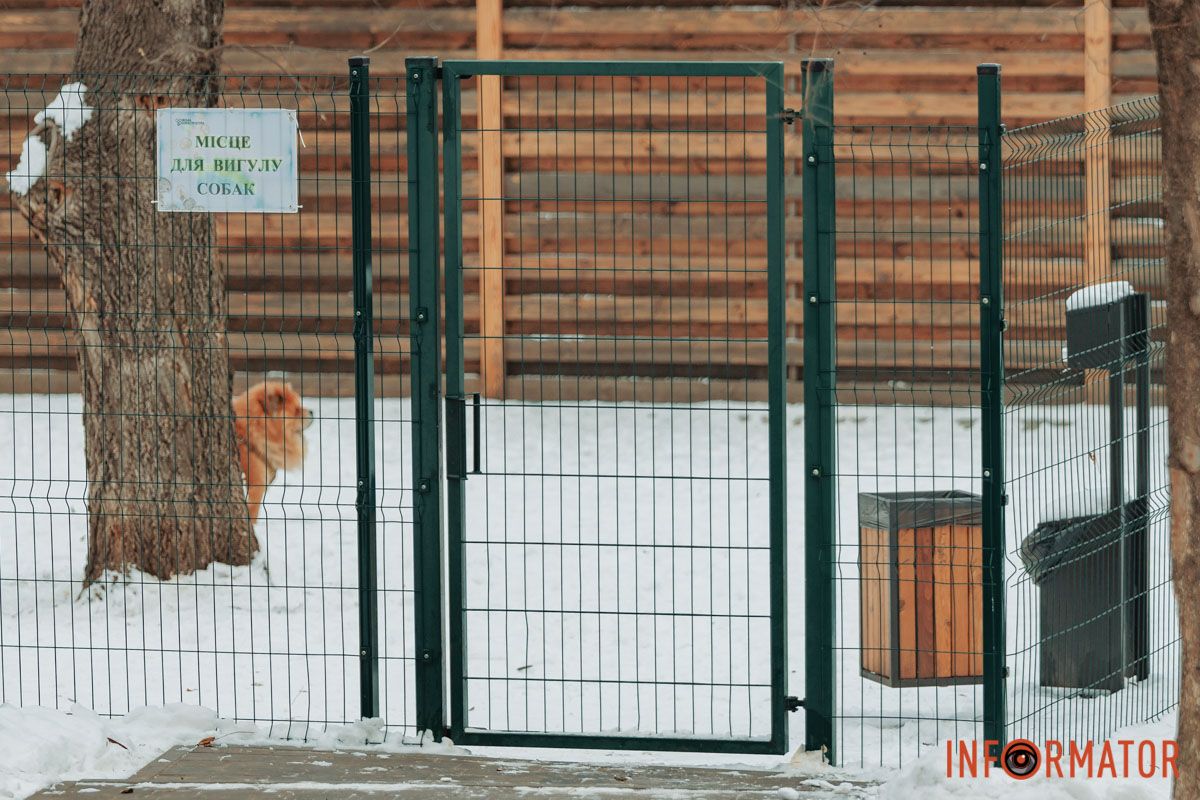 Задоволений пес