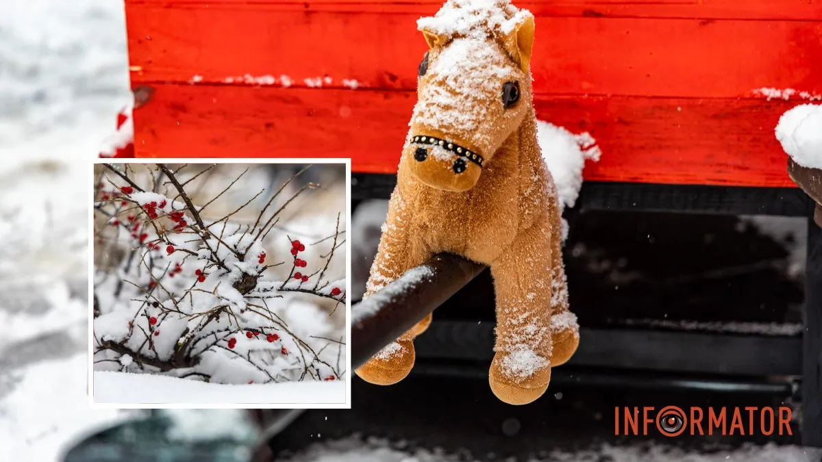 Погода на 24 січня: у Дніпрі сніжитиме