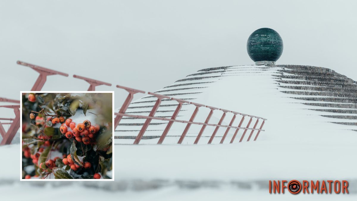 Хмарний день та дрібний сніг: погода на 24 січня у Дніпрі