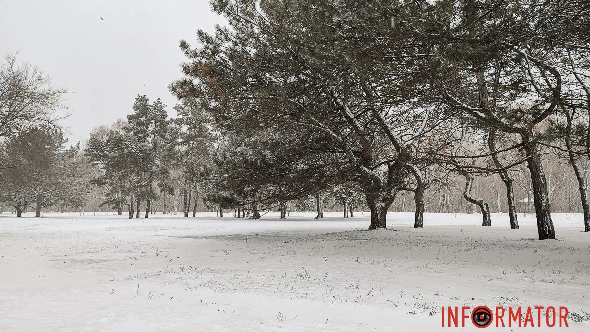 У Дніпрі 25 січня прогнозується снігопад та морози