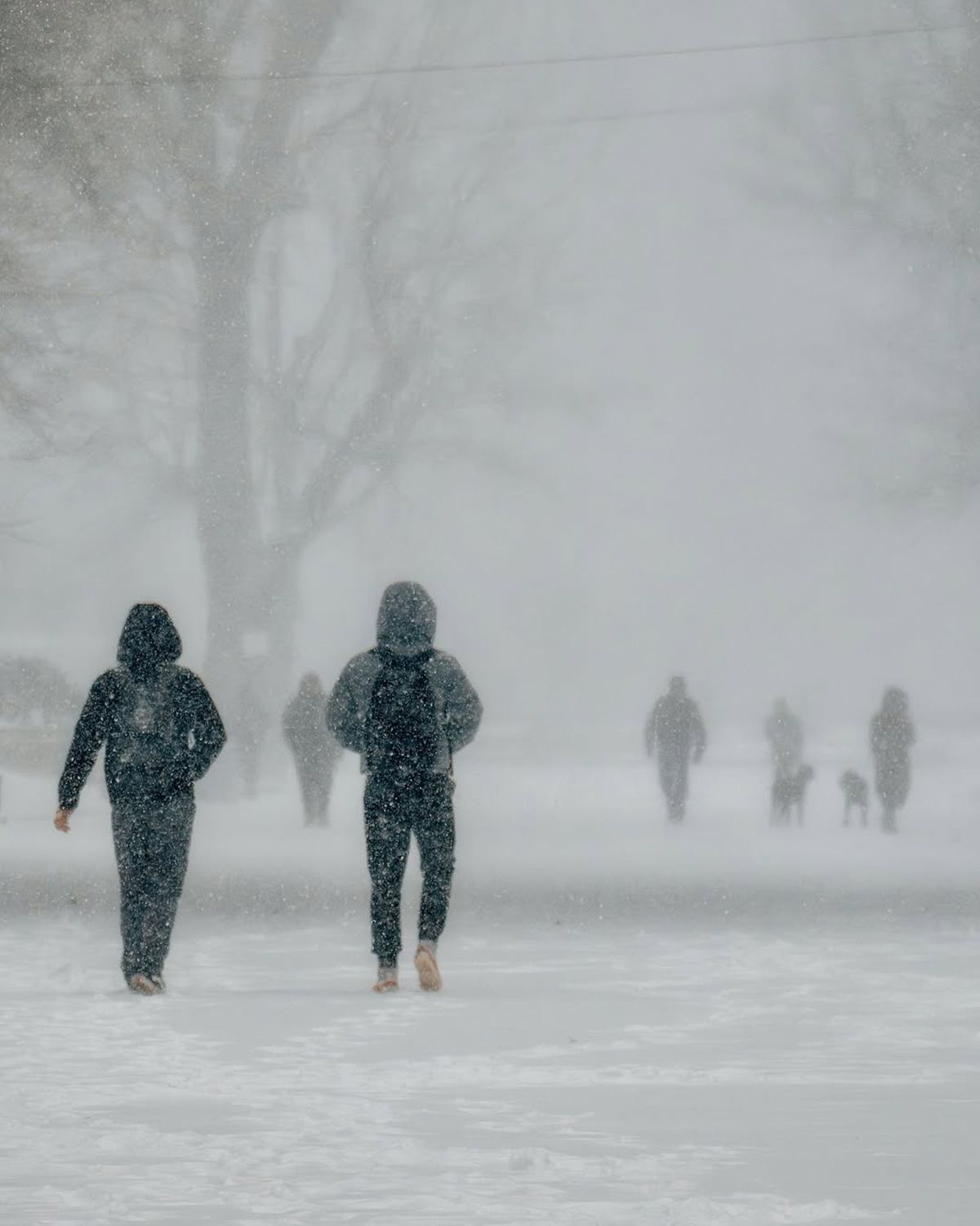 Фото: @ph_deniska Фото: @ph_deniska