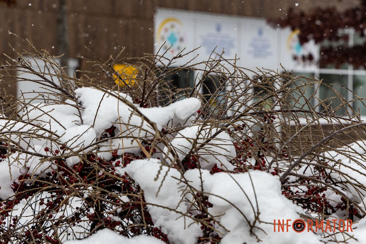 Осідають на ліхтарях, дахах, плечах перехожих: краєвиди Дніпра між сніжинками 10