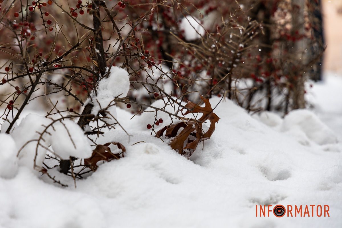 Осідають на ліхтарях, дахах, плечах перехожих: краєвиди Дніпра між сніжинками 5