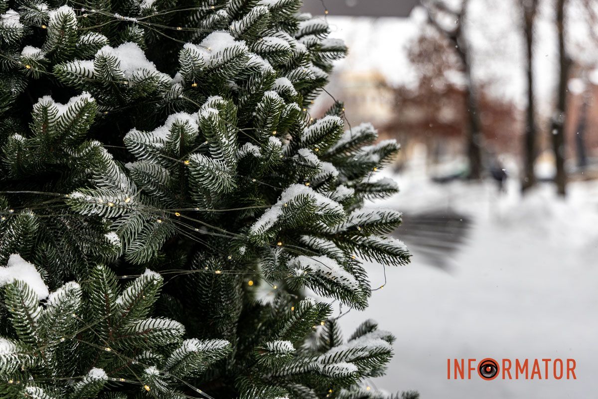 Осідають на ліхтарях, дахах, плечах перехожих: краєвиди Дніпра між сніжинками 8