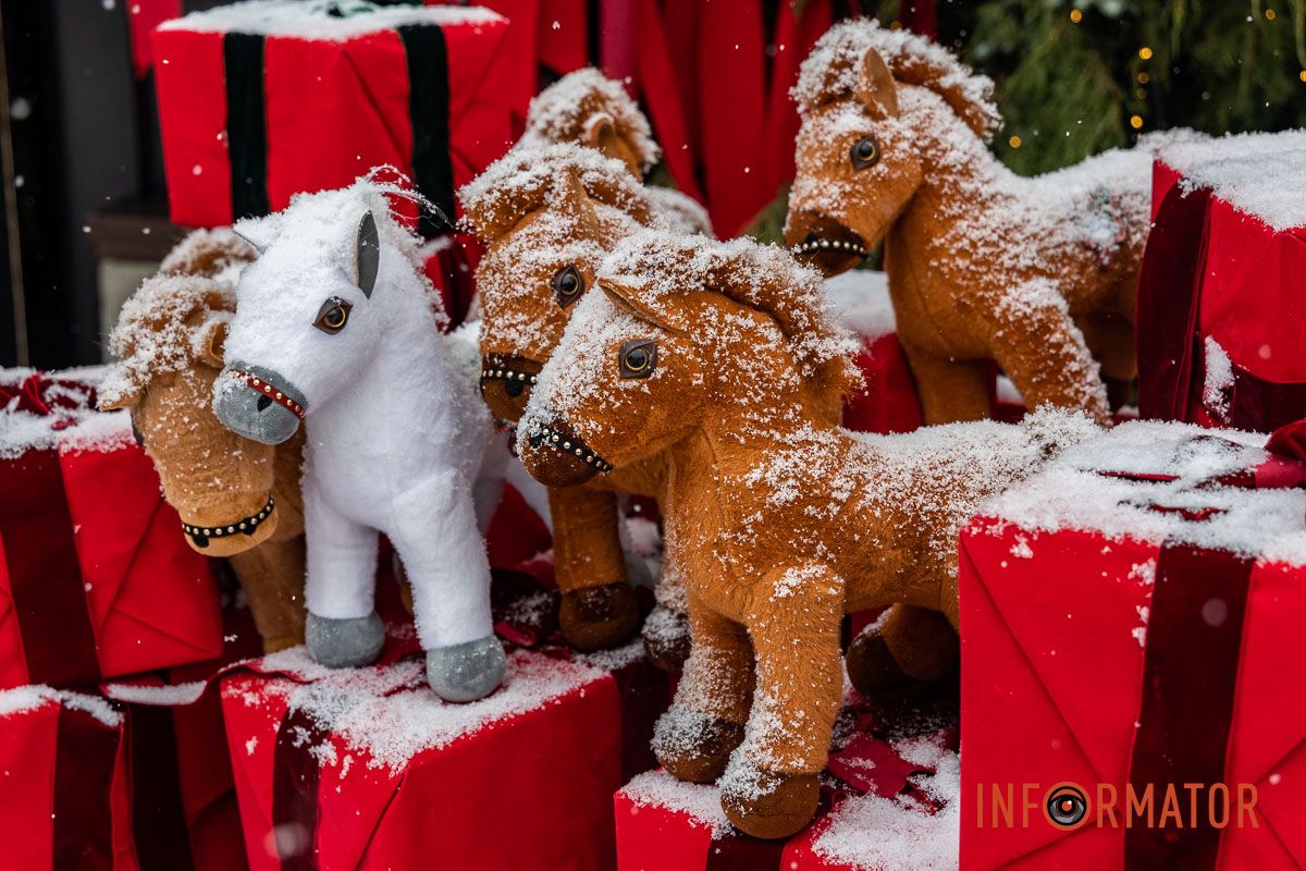 Осідають на ліхтарях, дахах, плечах перехожих: краєвиди Дніпра між сніжинками 11