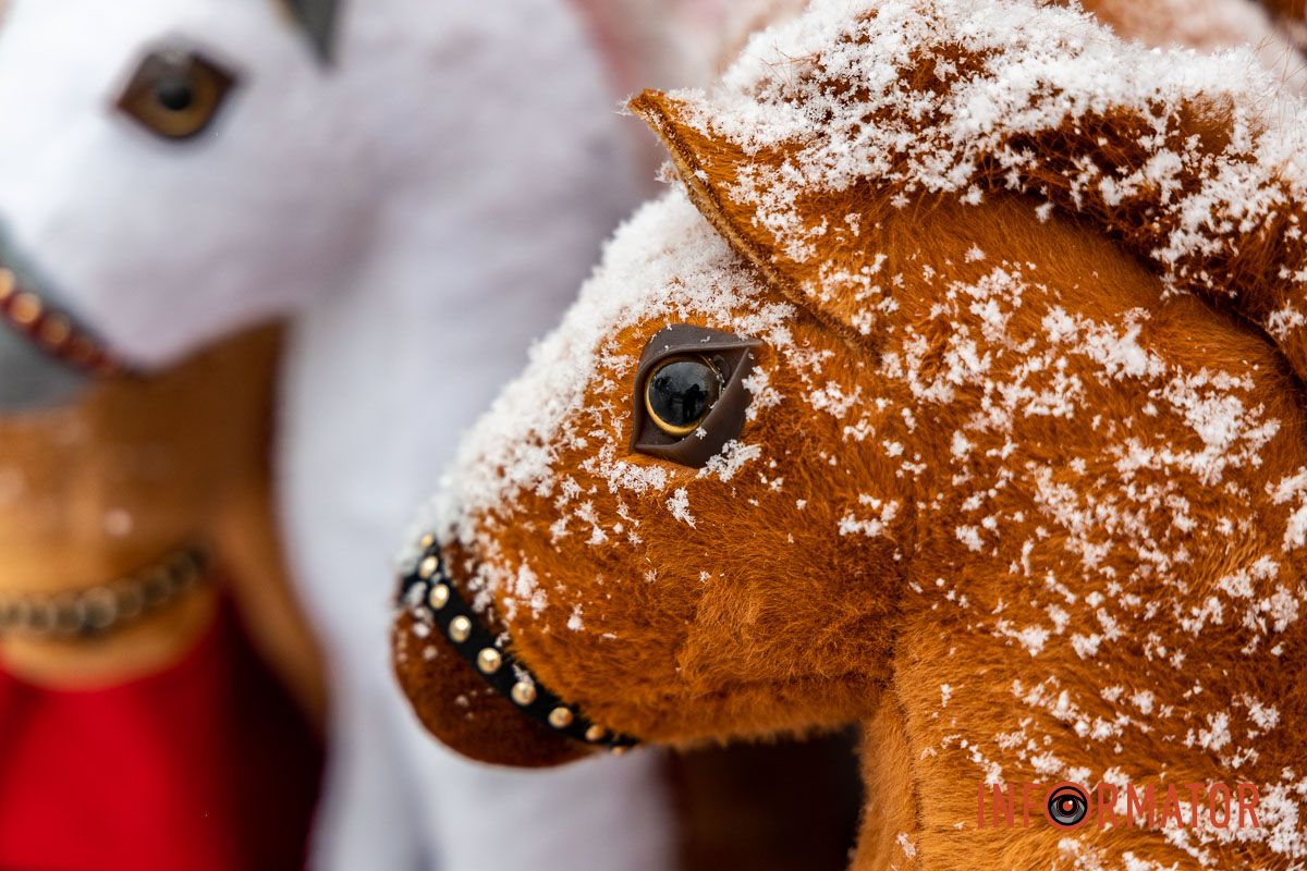 Осідають на ліхтарях, дахах, плечах перехожих: краєвиди Дніпра між сніжинками 4