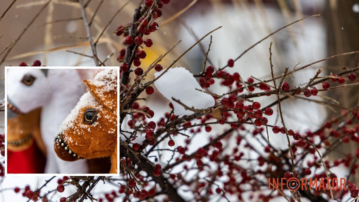 Погода на 28 січня: у Дніпрі очікуються сніг, ожеледиця та крижаний дощ