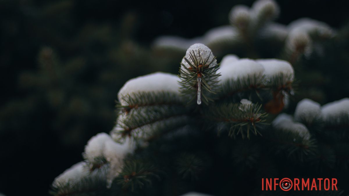 Погода на 31 січня: Дніпрі сніжитиме з самого ранку до пізнього вечора