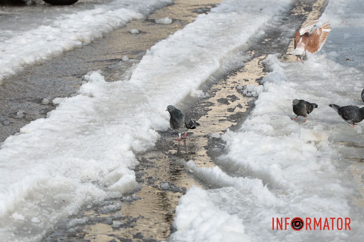 У морози у Дніпрі біля ринку «Зразковий» прорвало водогін: усе потопає у воді 10