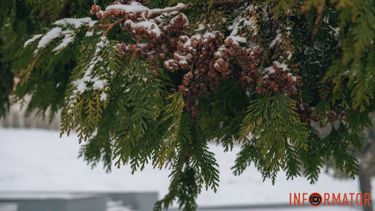 Морози до “мінус” 15: прогноз погоди у Дніпрі на 3 лютого