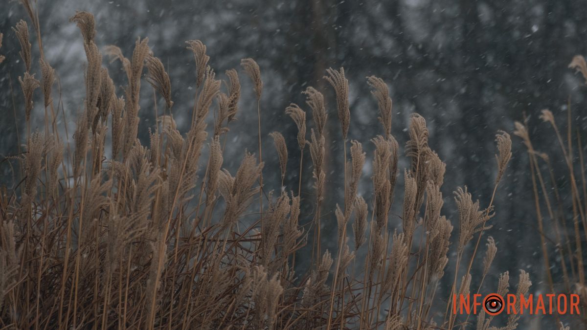 3 лютого у Дніпро буде холодно: стовпчик термометра сягне до 15 градусів морозу