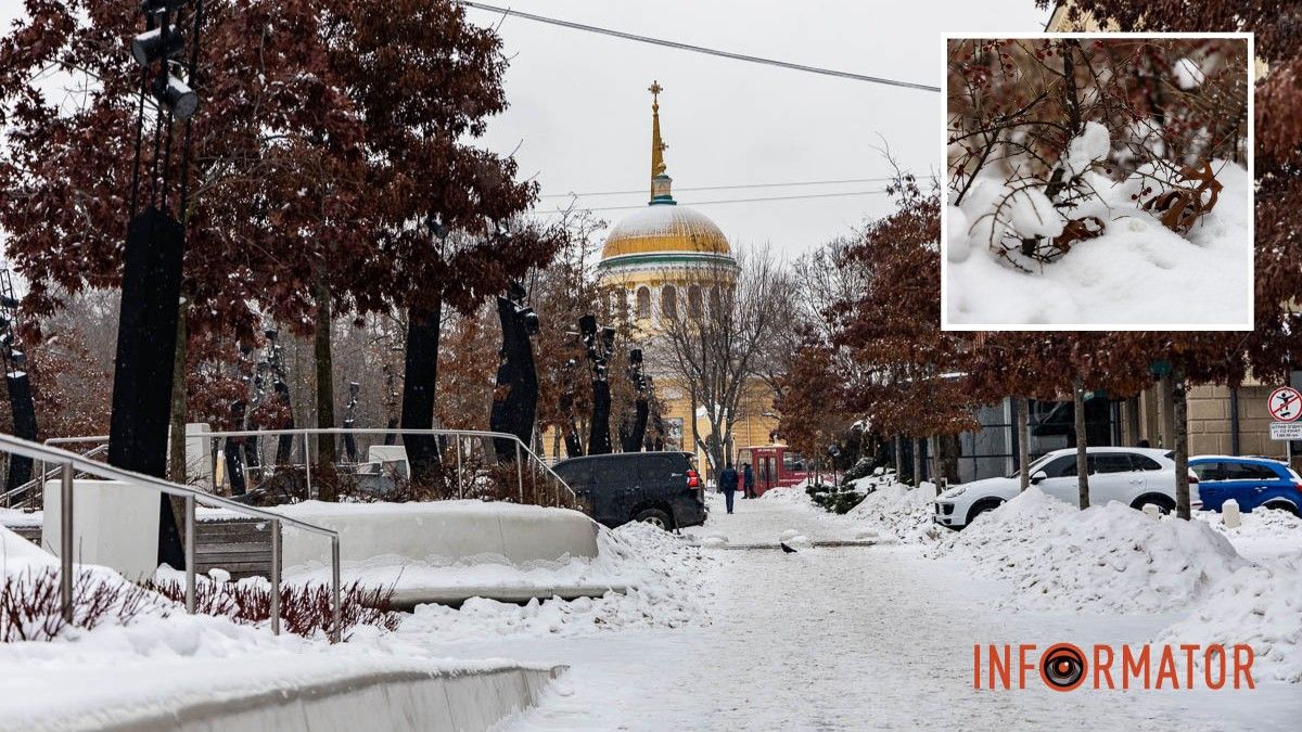 Погода на 4 лютого: у Дніпрі буде слабка хмарність