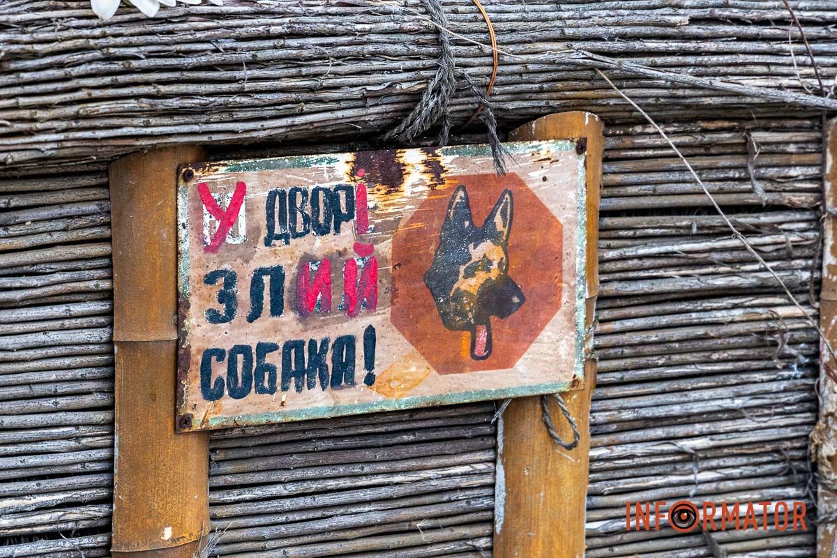 Лелека та криниця: як виглядає етноподвірʼя на Макарова у Дніпрі 3