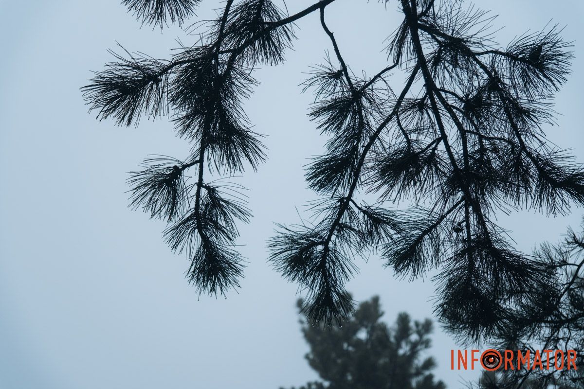 Прекрасні деталі