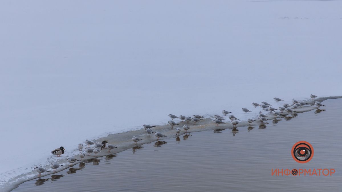 Морози від -4 до -10: прогноз погоди у Дніпрі на 11 лютого